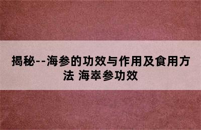 揭秘--海参的功效与作用及食用方法 海崒参功效